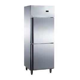 Vertical Two Door Refrigerator