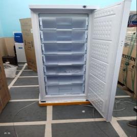 Vertical Freezer 350L