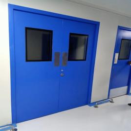 VAISHNAVI ASSOCIATES Metal Sheet Double Clean Room Door, 1800x2100mm
