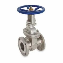 Cast Iron Gate Valve 25mm