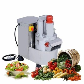 Indian Stainless Steel Vegetable Cutter