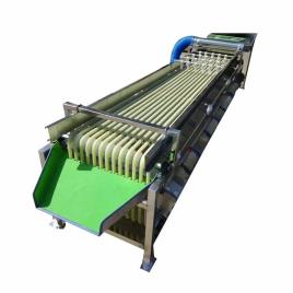 Vegetable Grading Conveyor Machine 10 Ton/Hr