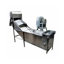 Continuous Type Vegetable Washer
