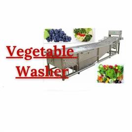 Vegetable Washing Machine