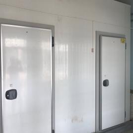 Vegetable Processing Turnkey Equipment