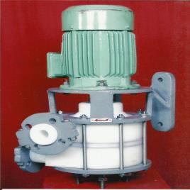 Vertical Glandless Pumping Machine