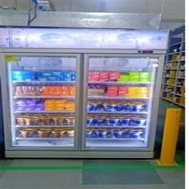 Vertical Double Glass Door Freezer