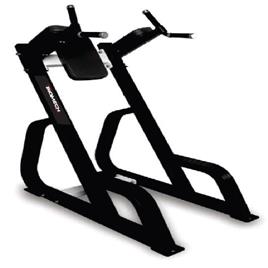 Vertical Knee Up Fitness Machine