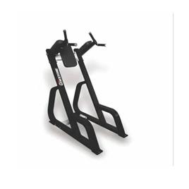Vertical Knee Raise Machine