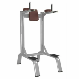 Vertical Knees Chin Up Machine