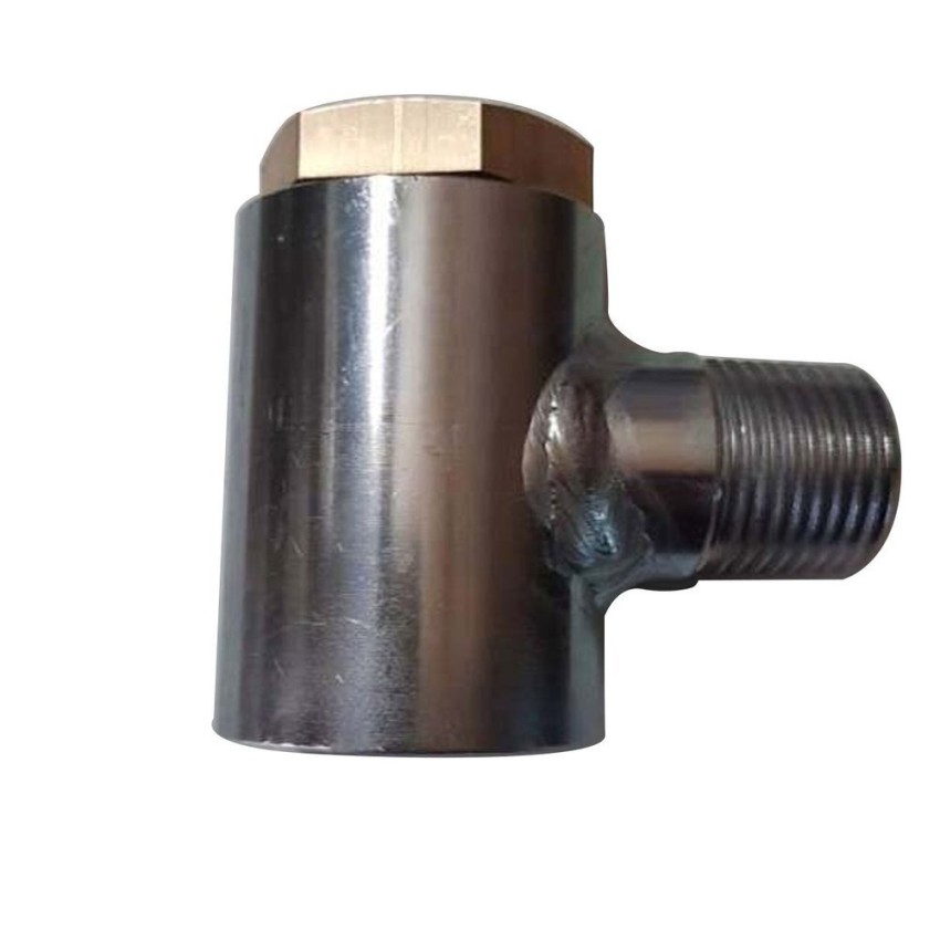 1 inch SS Butt Weld Non Return Valve