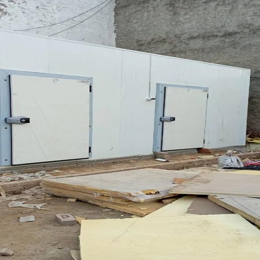 1 Ton Banana Repairing Chamber