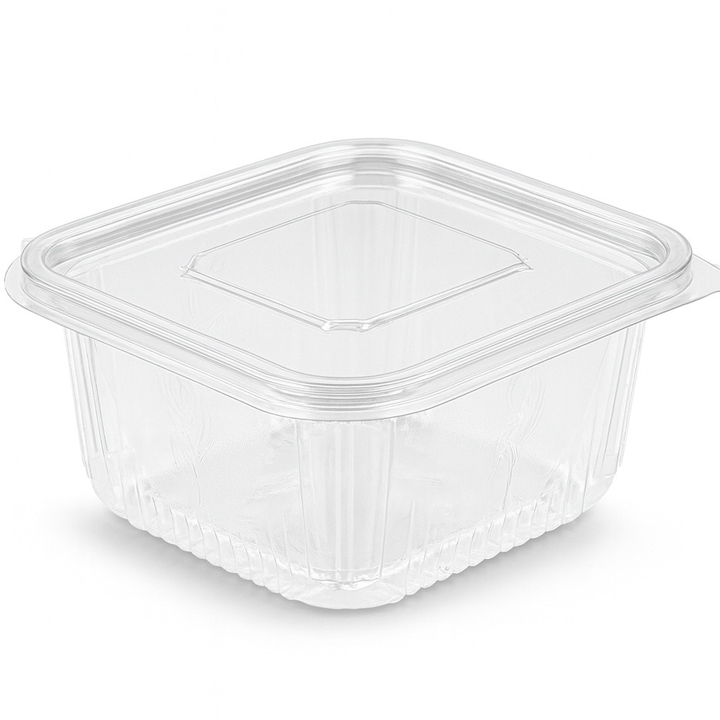 100 ml Hinge Container PP Plastic Transparent - ₹ 1.00