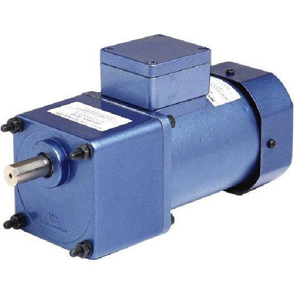 AC Gear Motor 180W