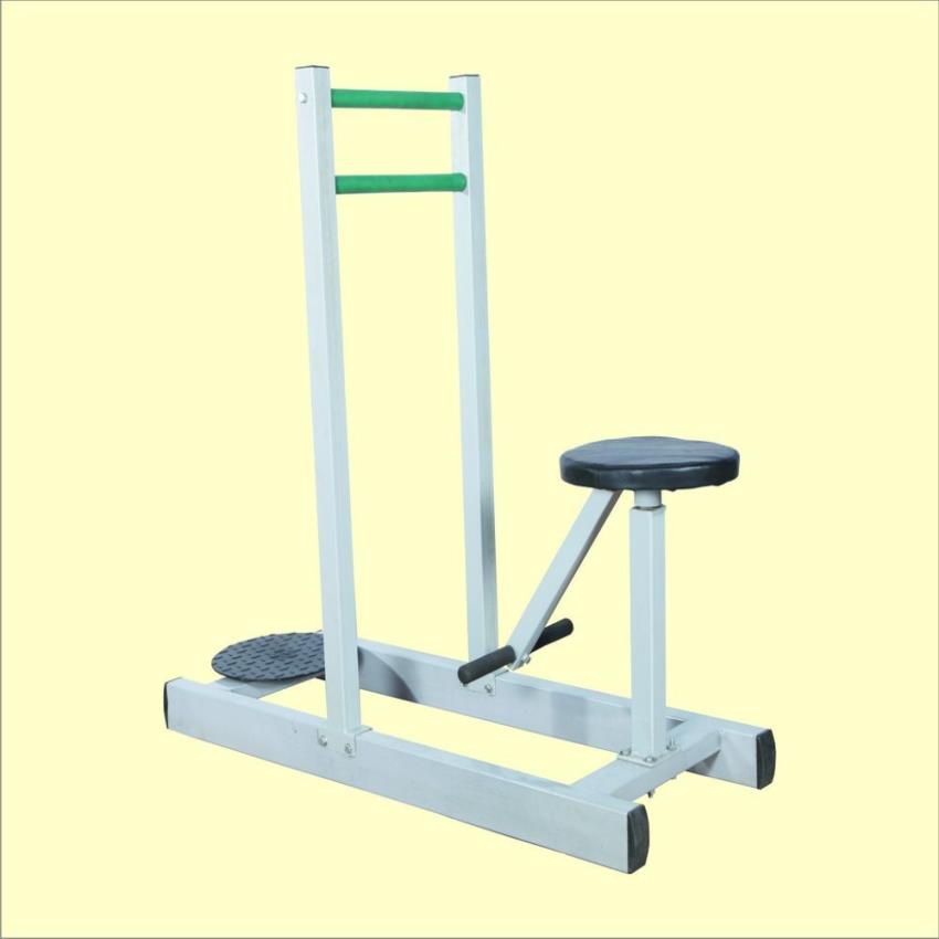 2-in-1 Mild Steel Gym Twister