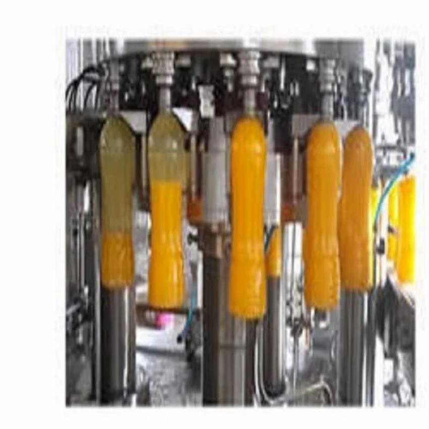 Automatic Fruit Processing Plant