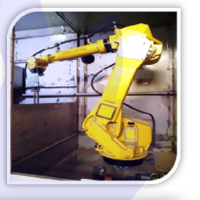 6 Axis Robotic Washing Machine