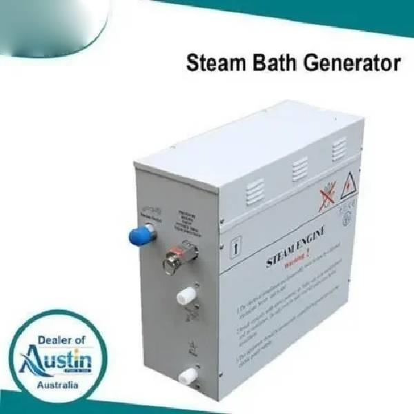 6 kW Electric Steam Unit