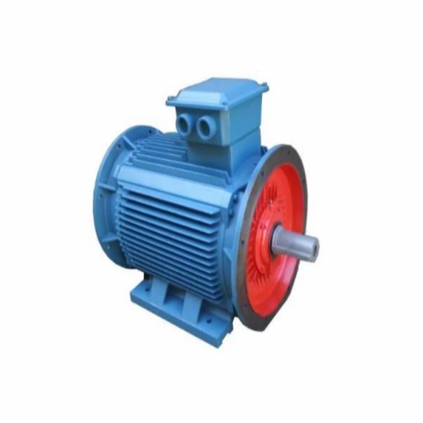 6 Pole Single Phase Induction Motor