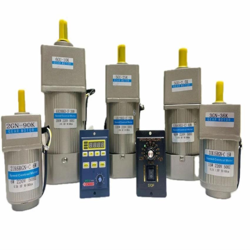 750W Single Phase AC Gear Motor