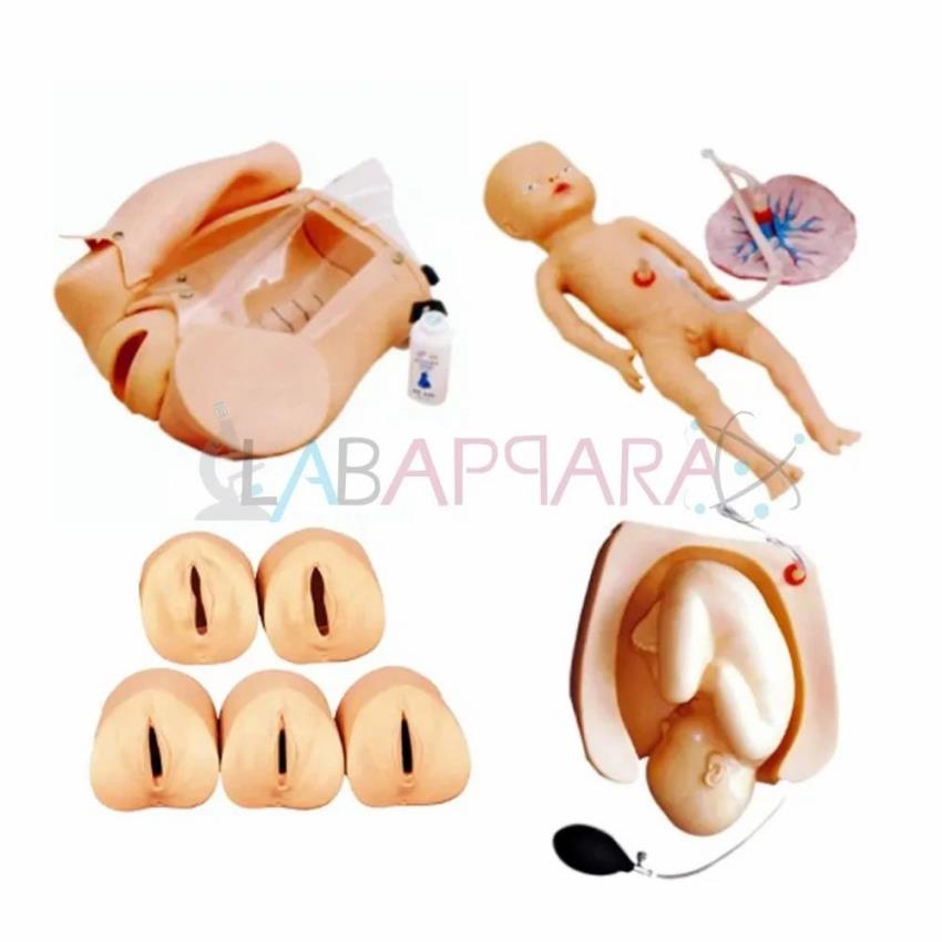 Abdominal Palpation Integrated Models