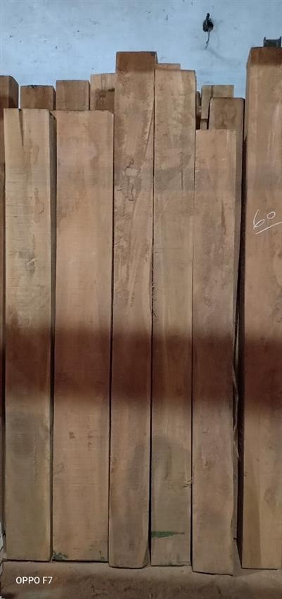 African Teakwood Lumber, 5ft To 8ft, 3" To 6" Thickness