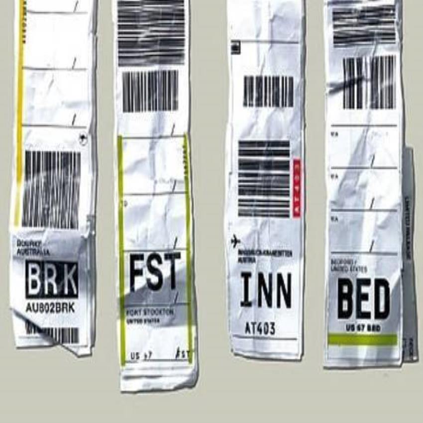 Airline Luggage Labels