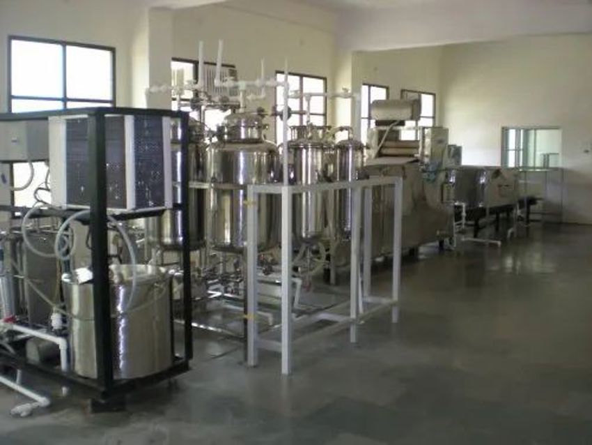 Aloe Vera Juice Processing Machine, 1000 Kg/Day