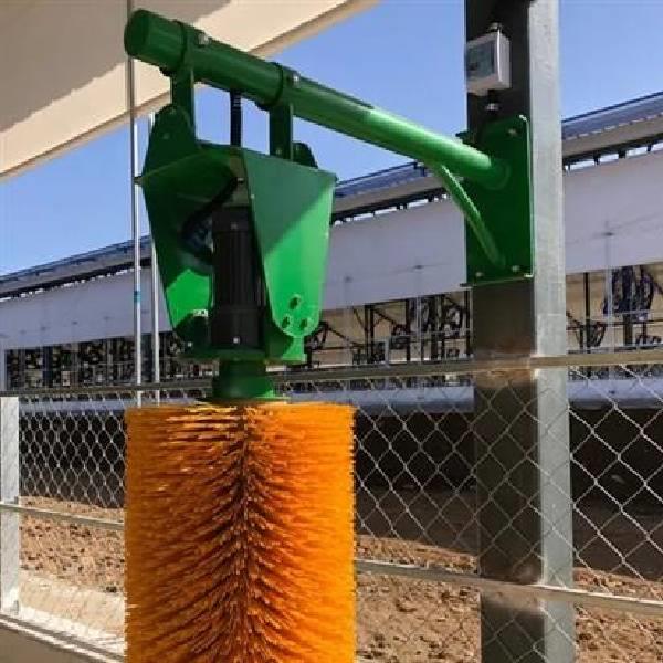 Animal Grooming Brush