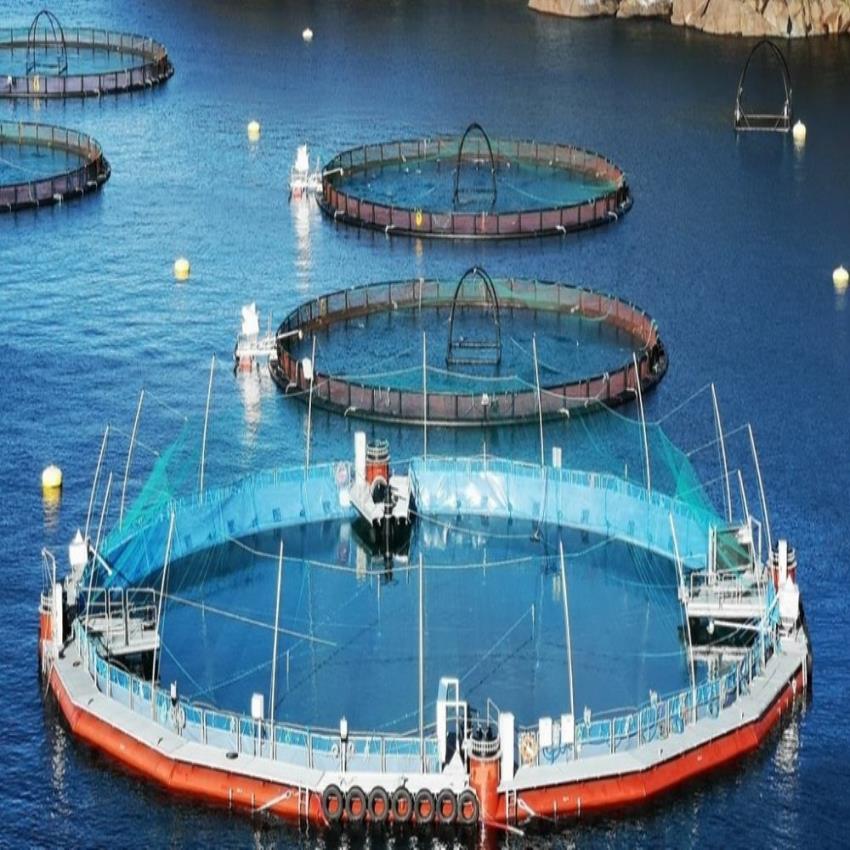 Aquaculture Cage Setup Service