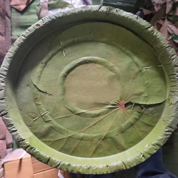 Automatic Areca Leaf Plate Machine