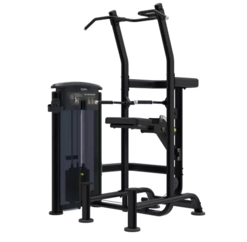 Assisted Chin Dip Combo Machine