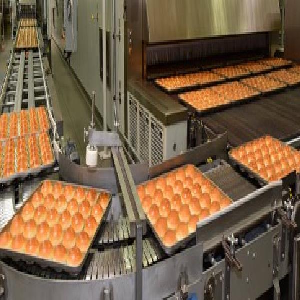 Automated Bread Production Plant