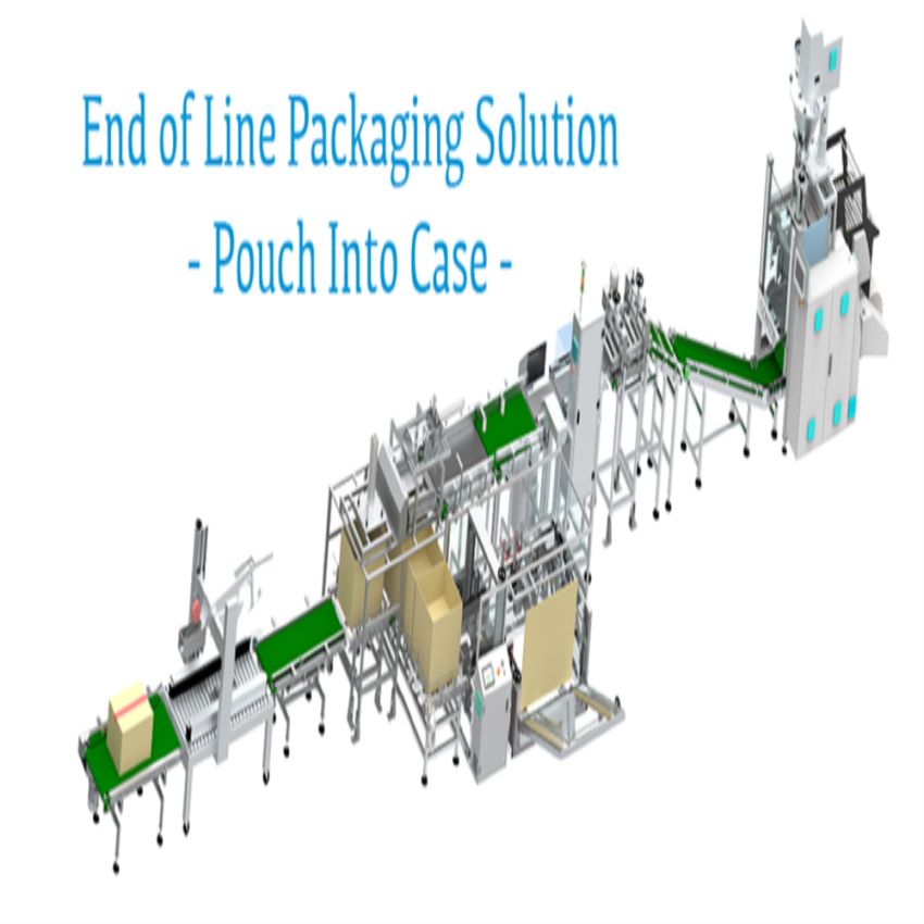 Automated Pouch Case Packer