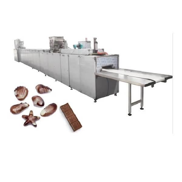 Automated Chocolate Molding Plant