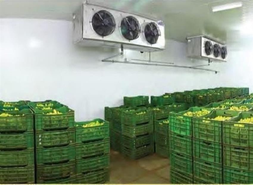 5 Ton Automatic Storage Ripening Machine