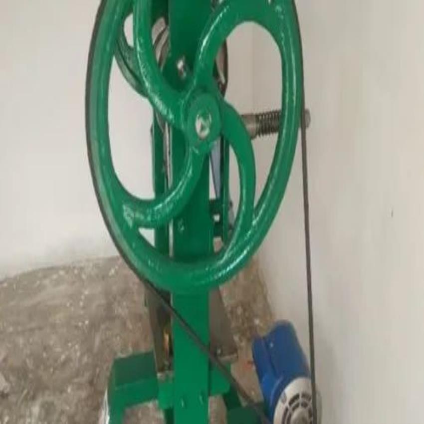 Automated Camphor Tablet Press