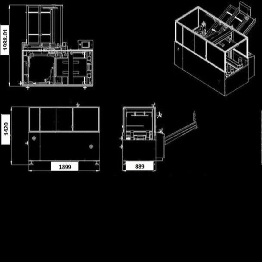 Automatic Case Packer, 15 CPM