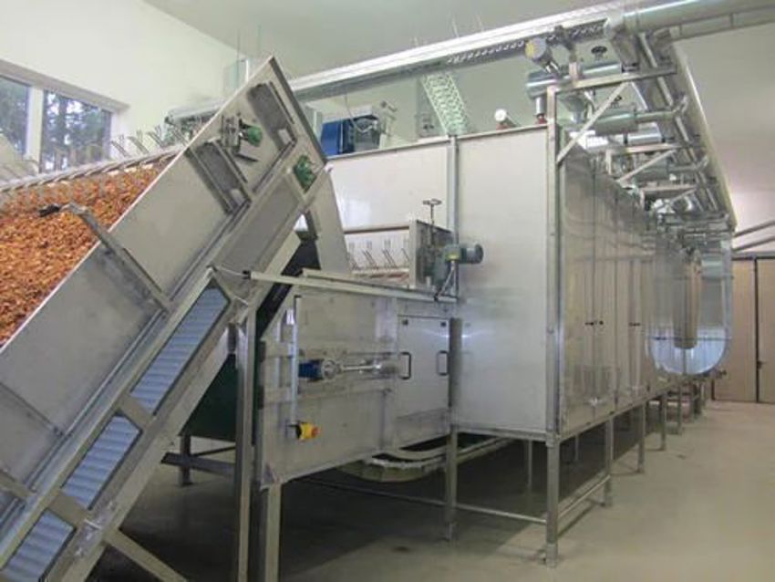 Automatic Vegetable Processing Machine, 500kg Capacity