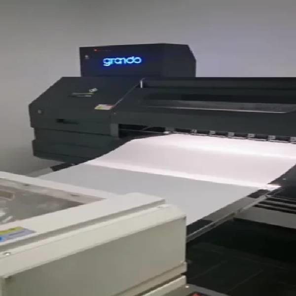 Automatic DTF Printing Machine RI 45r