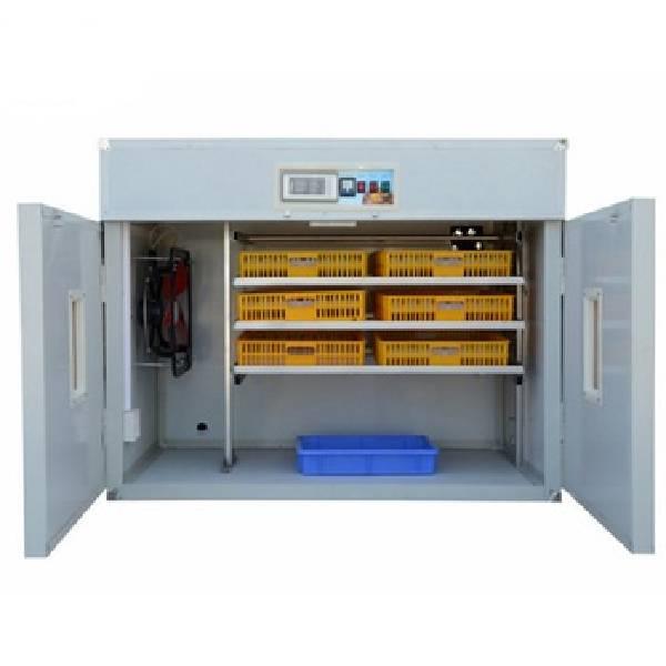 Automatic Egg Hatching Machine