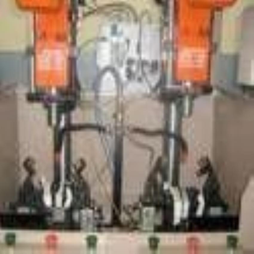 Automatic Feed Burnishing Machine