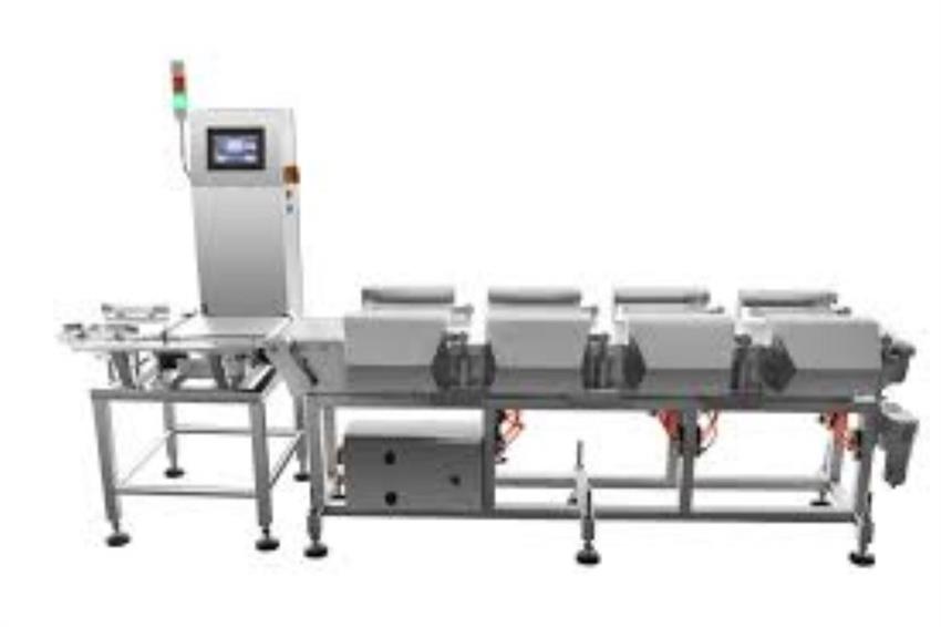 Automated Fruit Sorter Machine