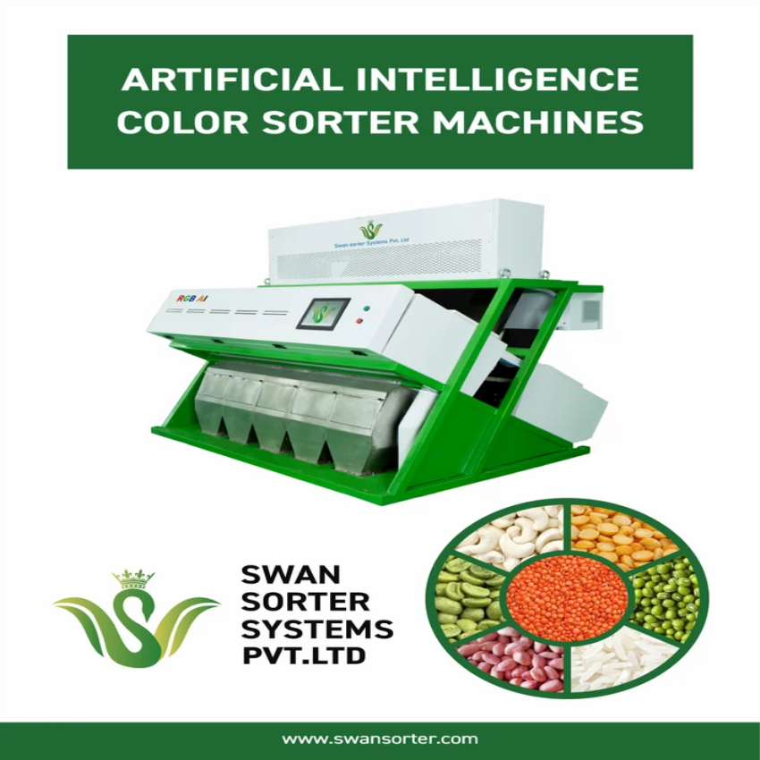 Green Pea Color Sorting Machine, Automatic