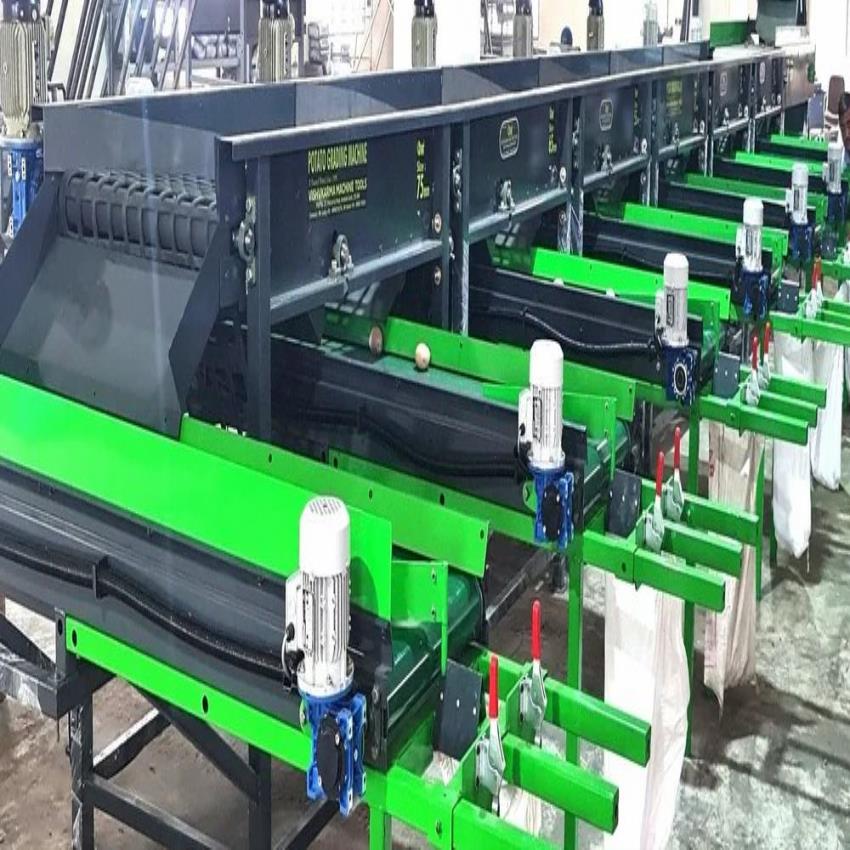 Automatic Mild Steel Potato Sorter