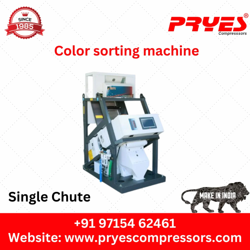 Automatic Channa Dal Sorting Equipment