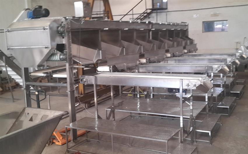 Automatic SS 304 Fruit Grader, 2-5 Tons/Hour