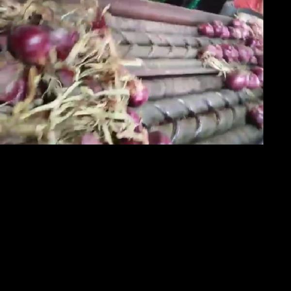 Automatic Stainless Steel Onion Detopping Equipment