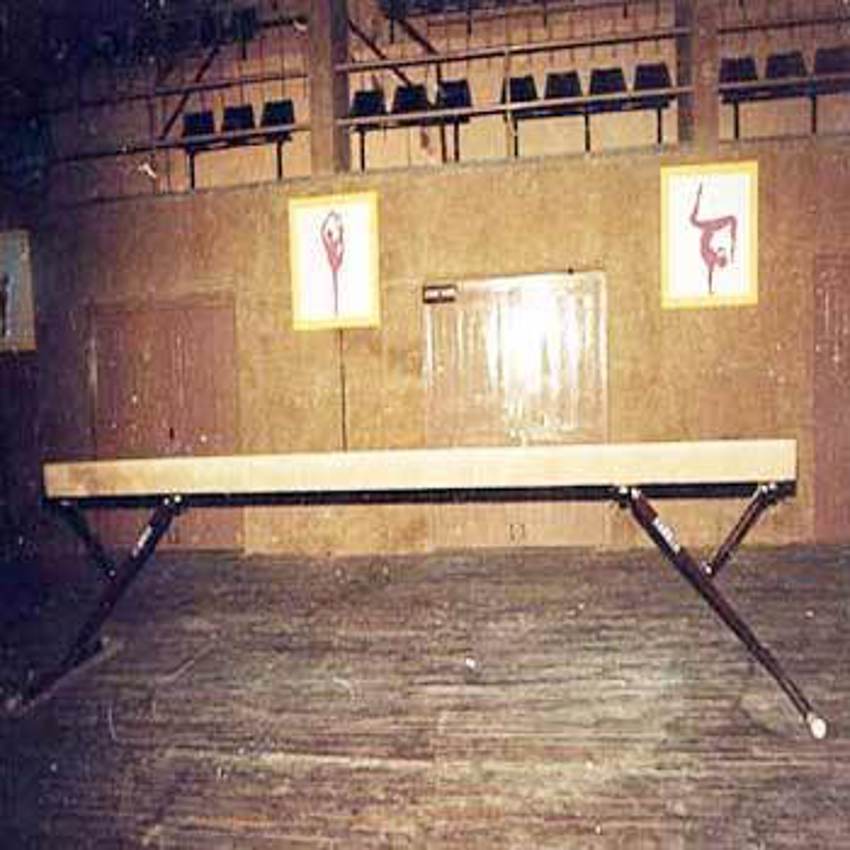 Domestic Balancing Beam