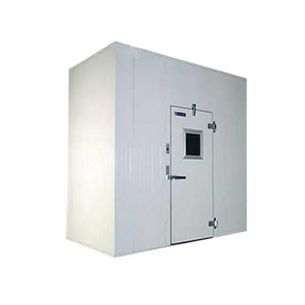 Banana Ripening Cold Room Chamber